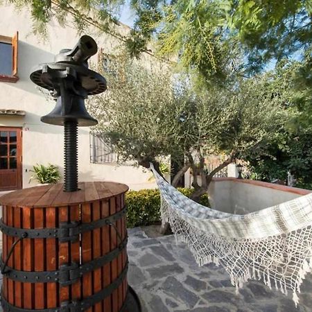 Masia Can Tramontana Guest House Tiana Екстериор снимка
