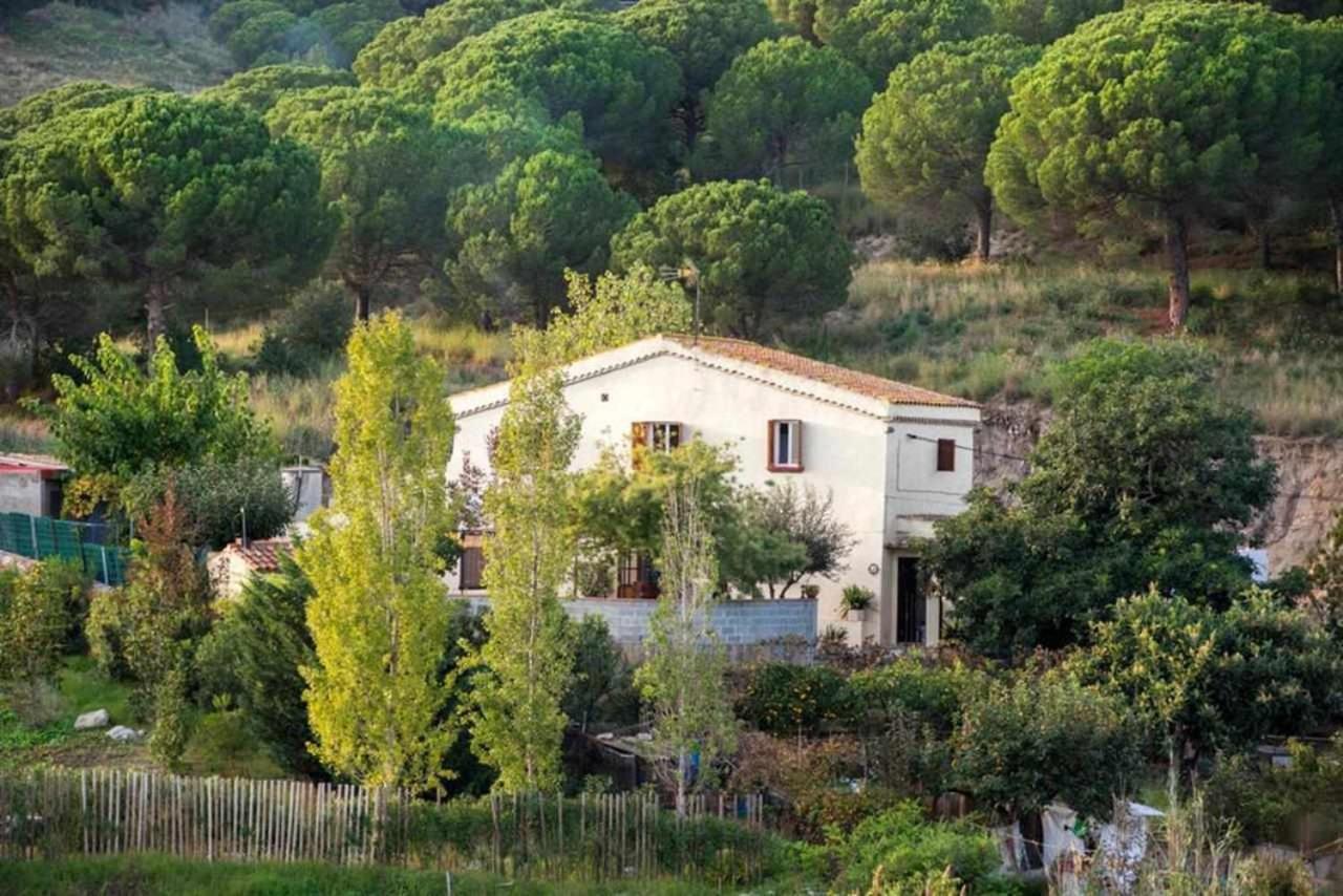 Masia Can Tramontana Guest House Tiana Екстериор снимка